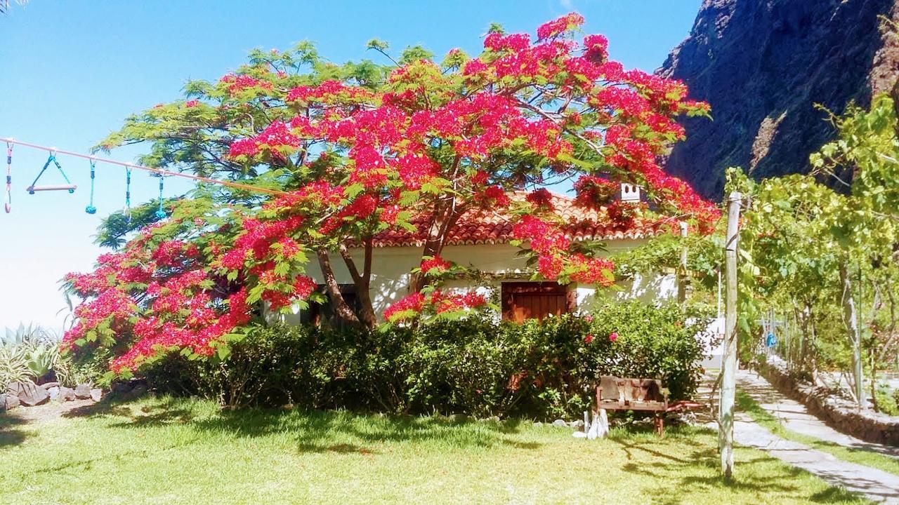 Faja Dos Padres Villa Ribeira Brava Buitenkant foto