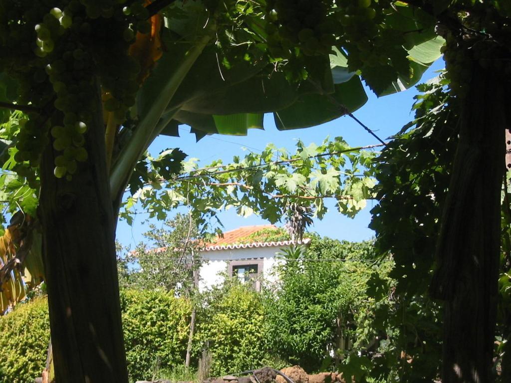 Faja Dos Padres Villa Ribeira Brava Buitenkant foto