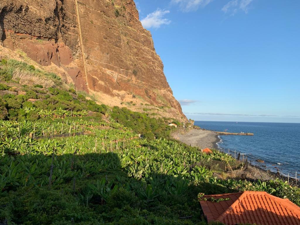 Faja Dos Padres Villa Ribeira Brava Buitenkant foto
